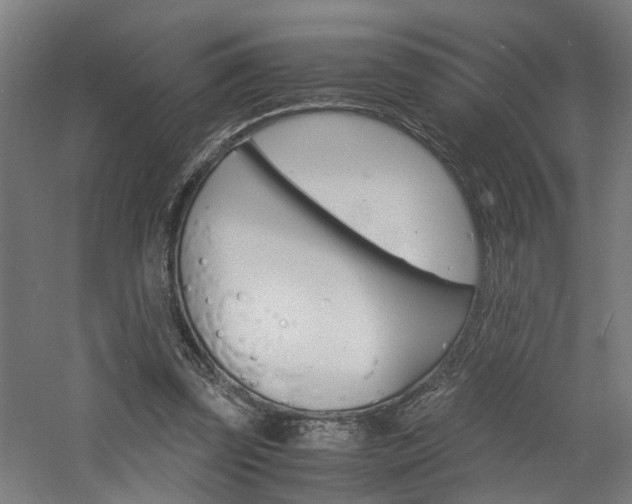 X0000060750347200511100943