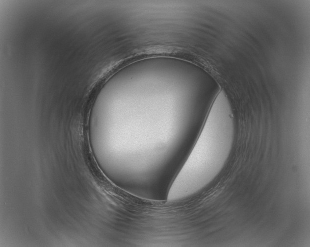 X0000060750348200511100944