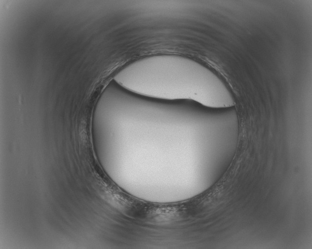 X0000060750353200511100944