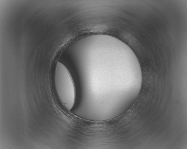 X0000060750354200511100944