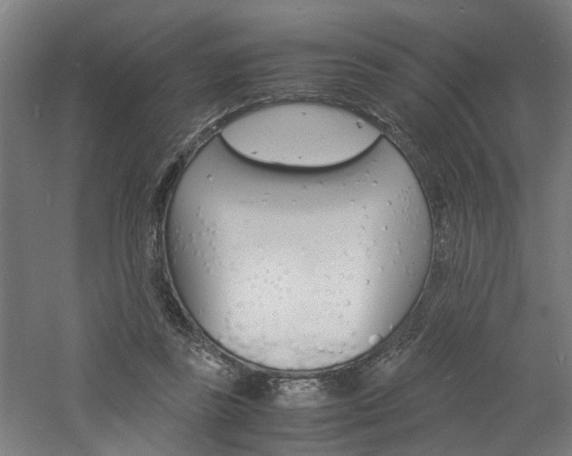 X0000060750355200511100944