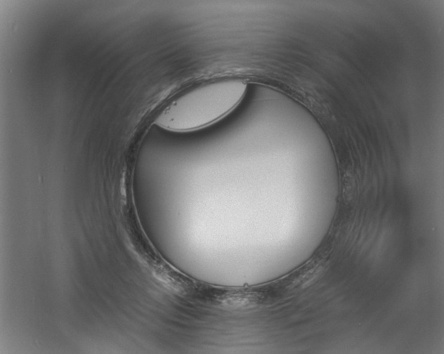 X0000060750358200511100944