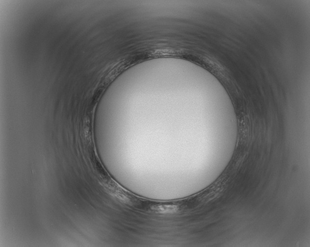 X0000060750361200511100944