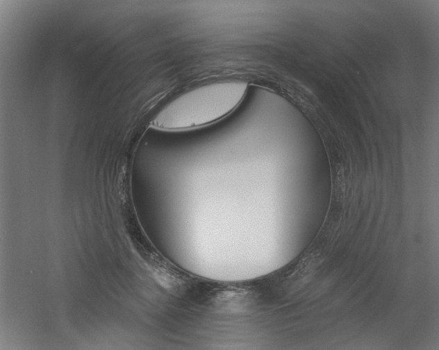 X0000060750364200511100944