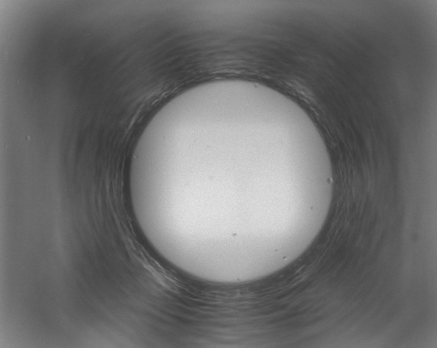 X0000060750365200511100944