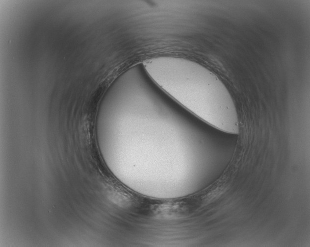 X0000060750366200511100944