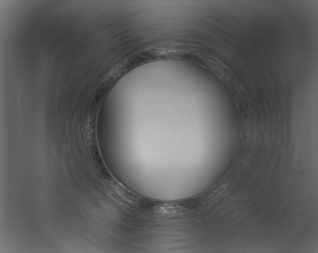 X0000060750372200511100944