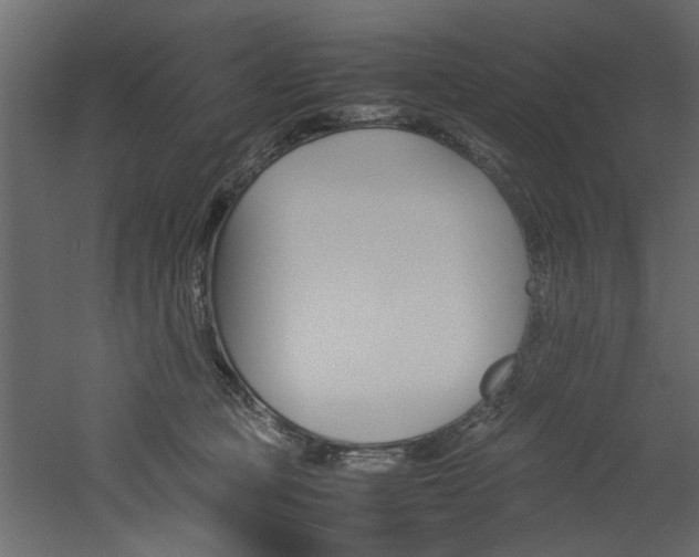 X0000060750373200511100944