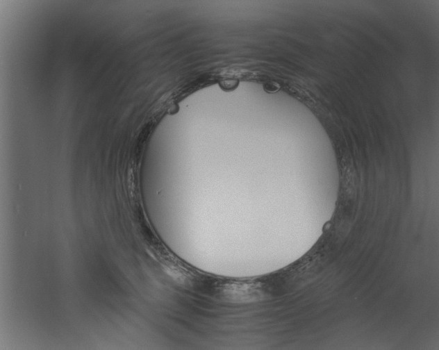 X0000060750375200511100944