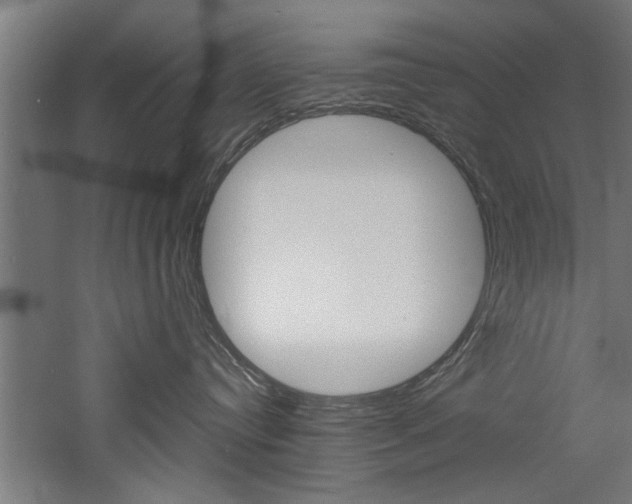 X0000060750384200511100944