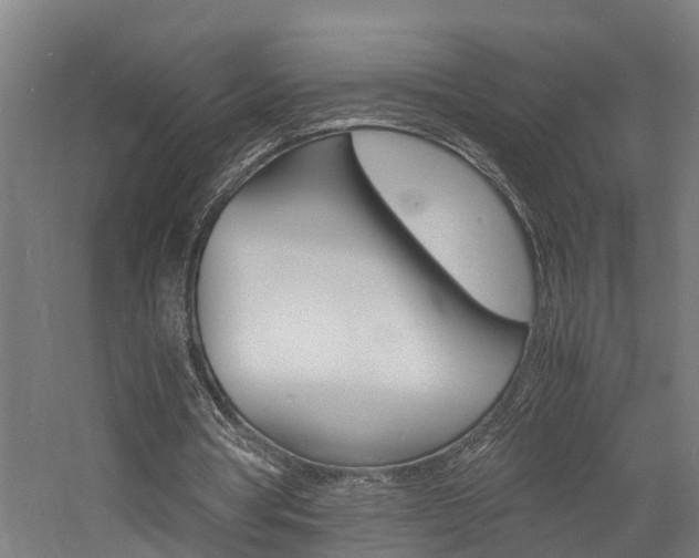 X0000060750386200511100943