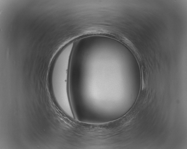 X0000060750387200511100943