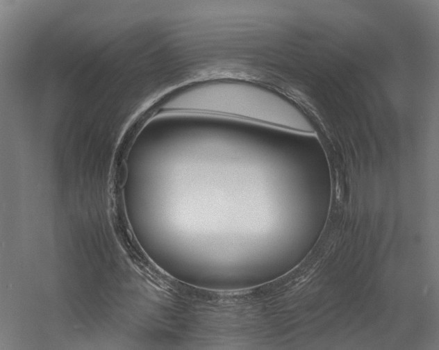 X0000060750388200511100943