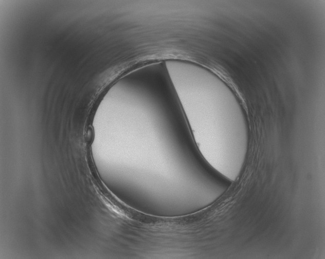 X0000060750389200511100943