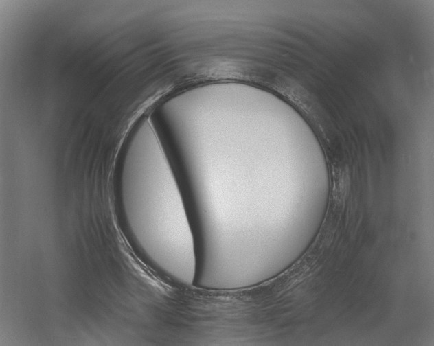X0000060750390200511100943