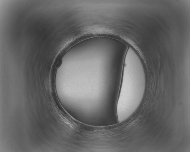 X0000060750391200511100943