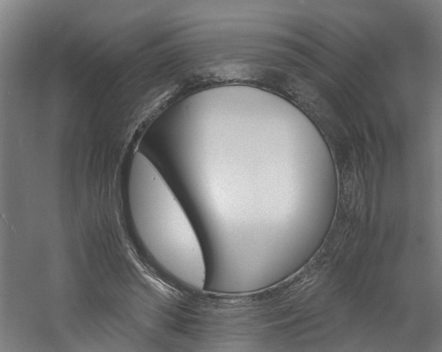 X0000060750398200511100943