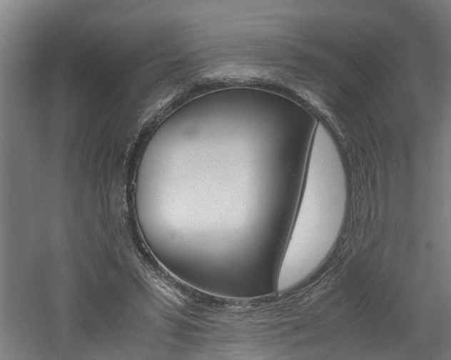 X0000060750399200511100943