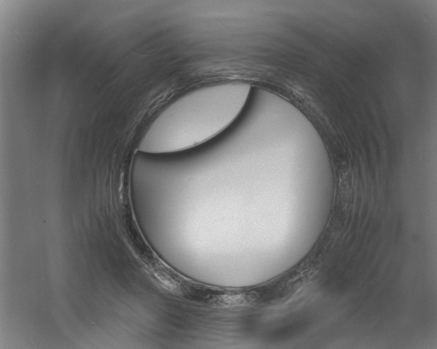 X0000060750406200511100943