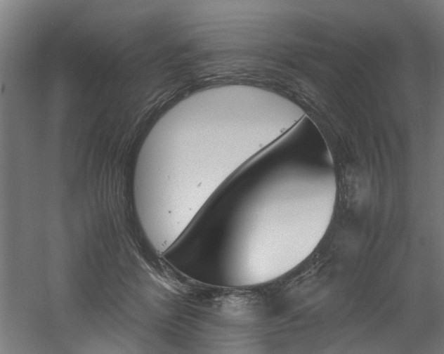 X0000060750412200511100943