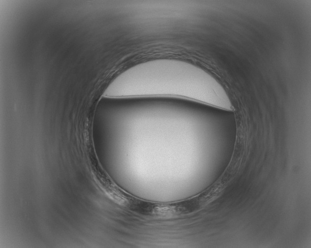 X0000060750413200511100943