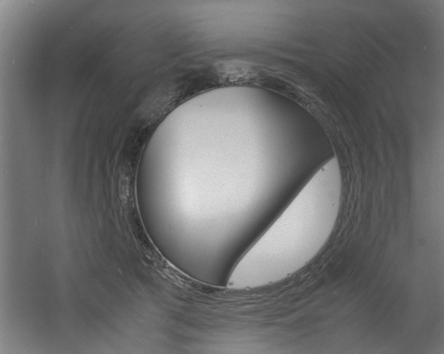 X0000060750417200511100943