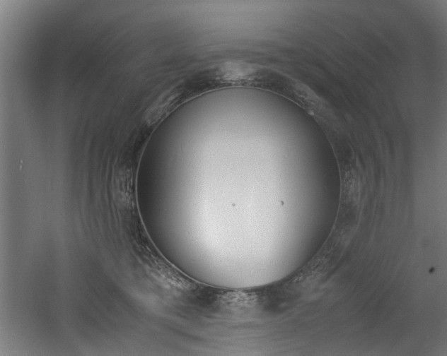 X0000060750421200511100943