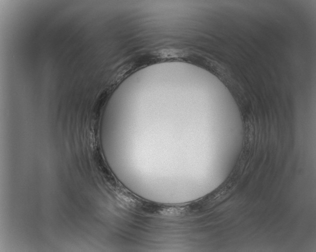 X0000060750422200511100943