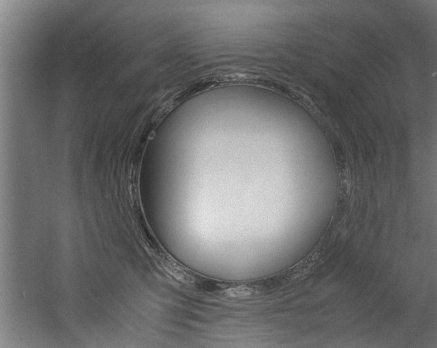 X0000060750423200511100943