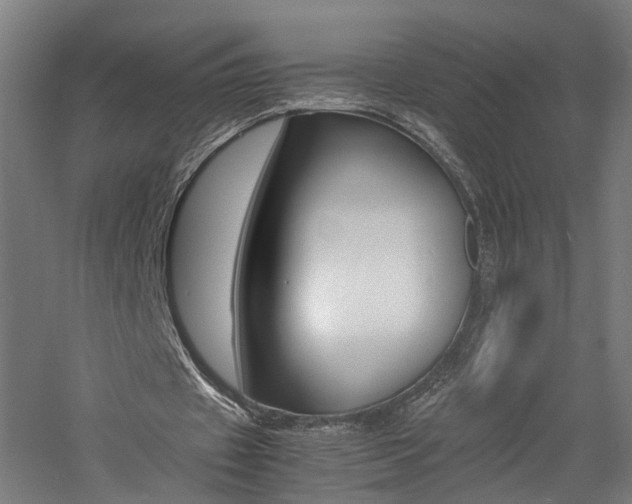 X0000060750433200511100942