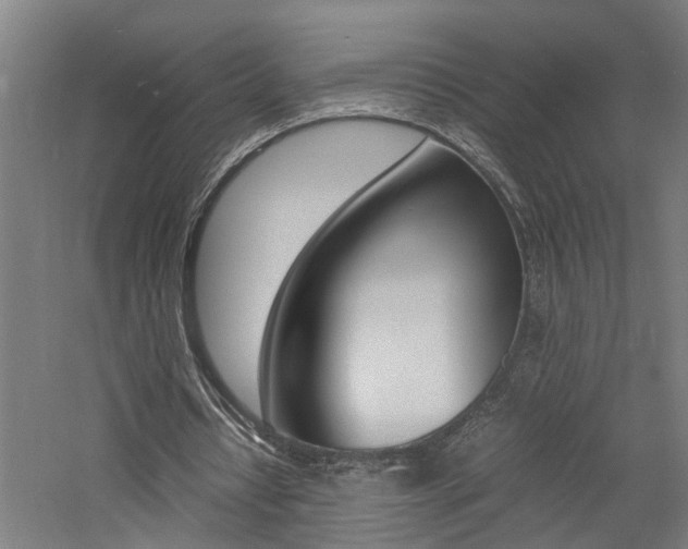 X0000060750434200511100942