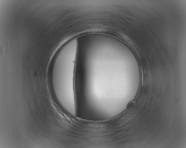 X0000060750435200511100942