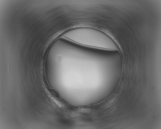 X0000060750437200511100942