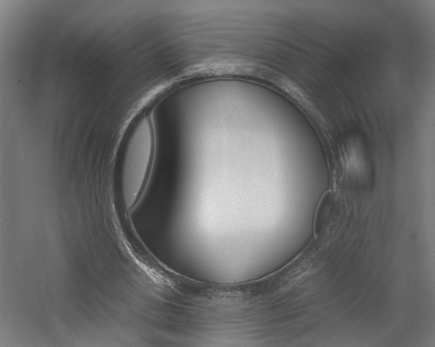 X0000060750438200511100942