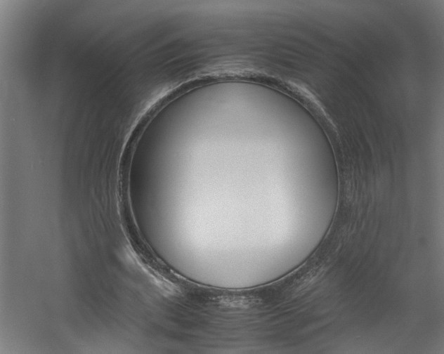 X0000060750439200511100942