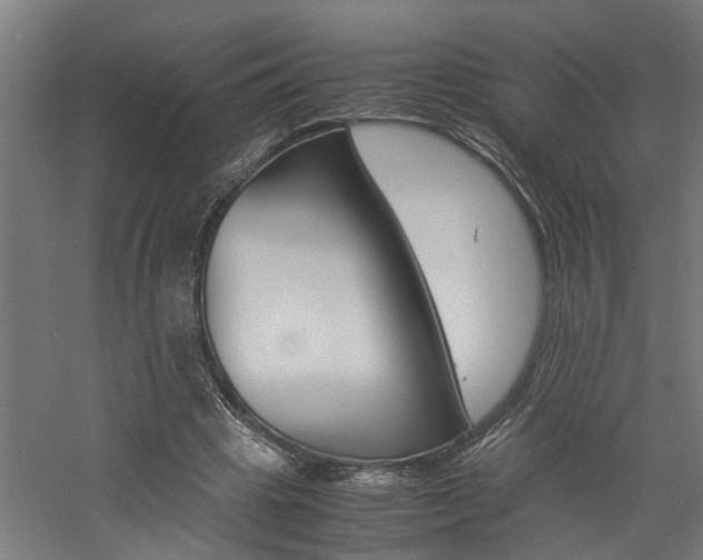 X0000060750441200511100942