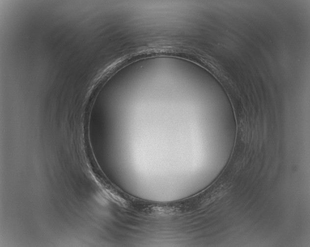 X0000060750442200511100942