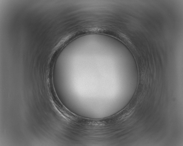 X0000060750443200511100942