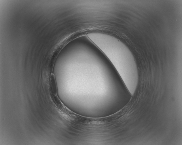 X0000060750444200511100942