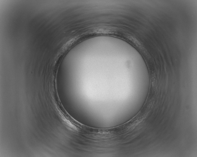 X0000060750445200511100942