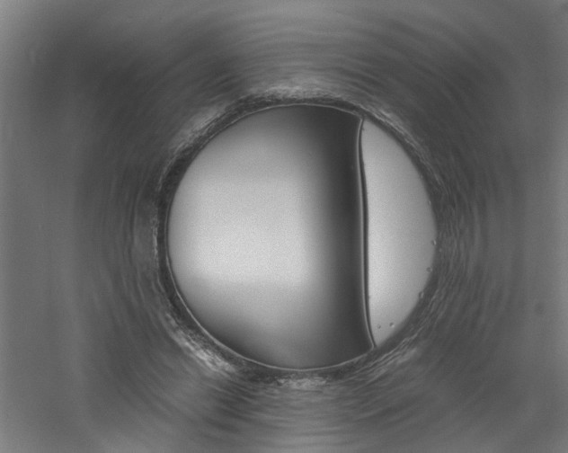 X0000060750446200511100942