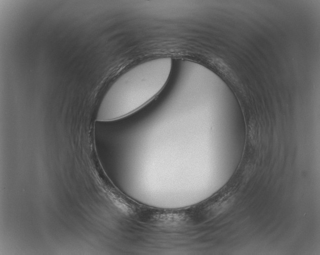 X0000060750449200511100942