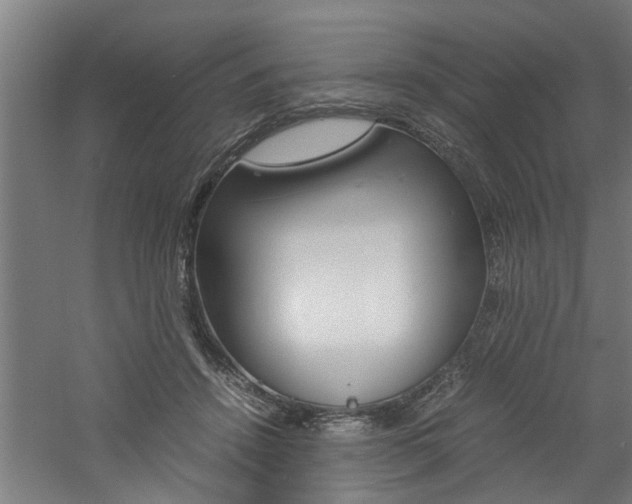X0000060750456200511100942