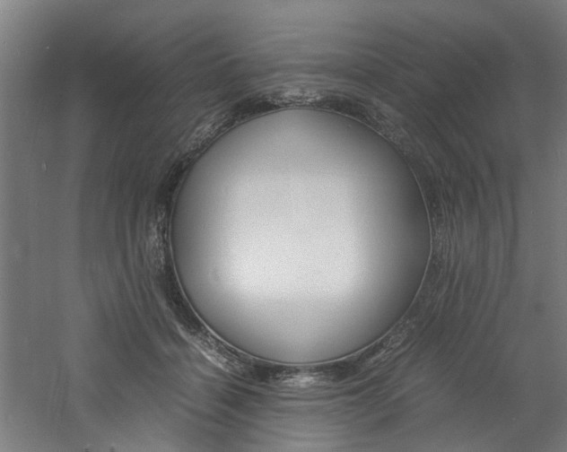 X0000060750460200511100942