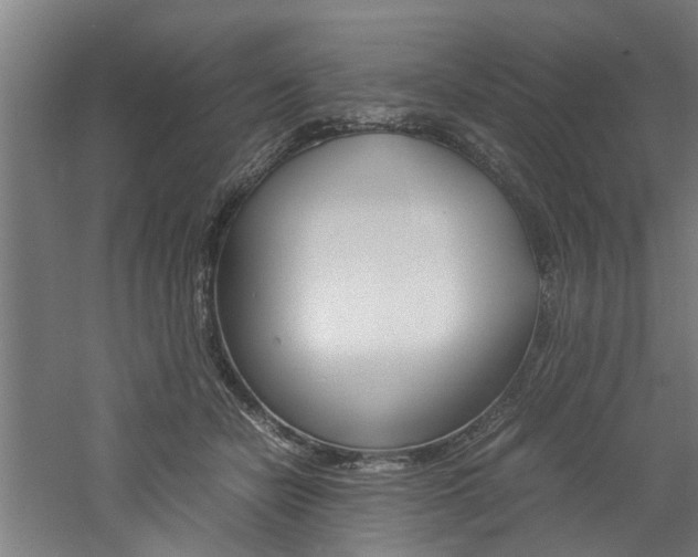 X0000060750462200511100942