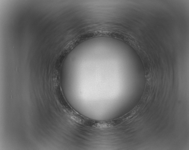 X0000060750464200511100942