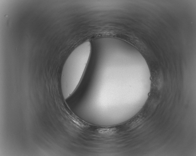 X0000060750465200511100942