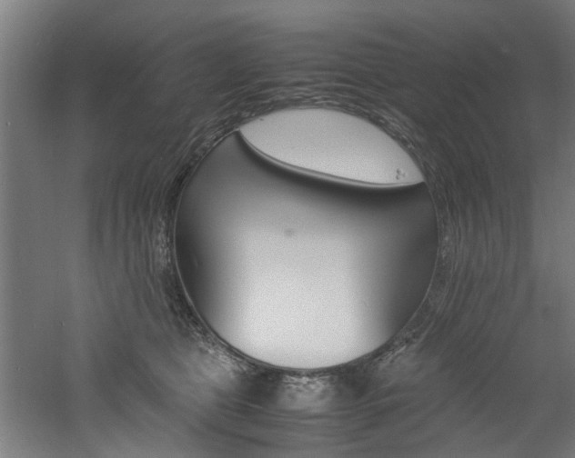 X0000060750469200511100942