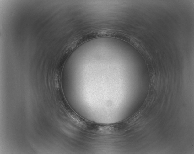 X0000060750470200511100942
