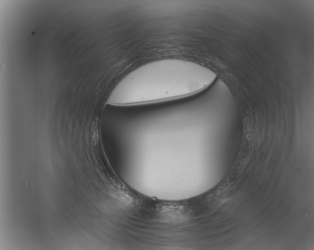 X0000060750471200511100942